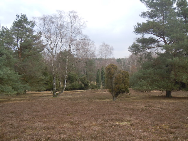 Das Haus - Lneburger Heide